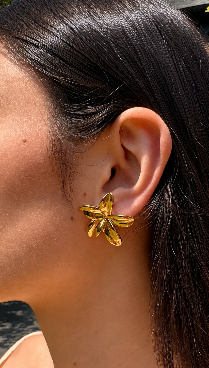Boucles Lys Aura