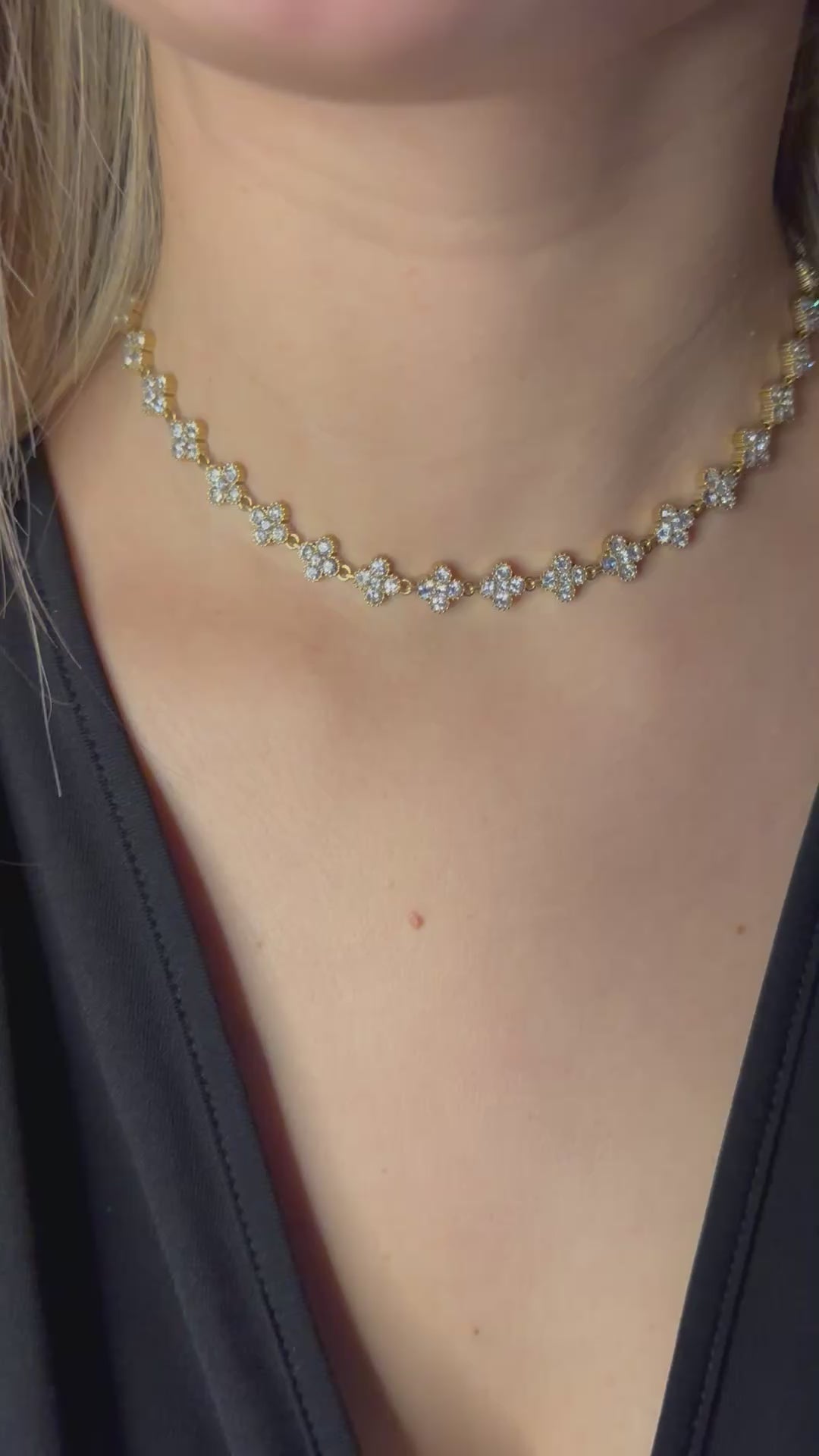 Charger la vidéo : 